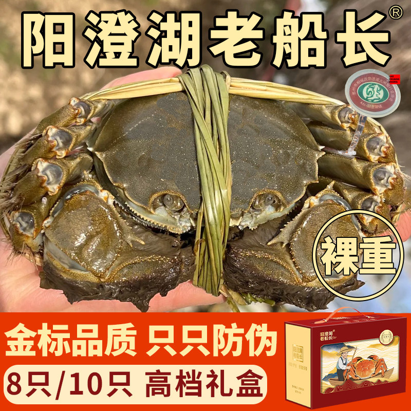 [活蟹]阳澄湖老船长大闸蟹螃蟹鲜活河蟹特大全母蟹礼盒官方旗舰店