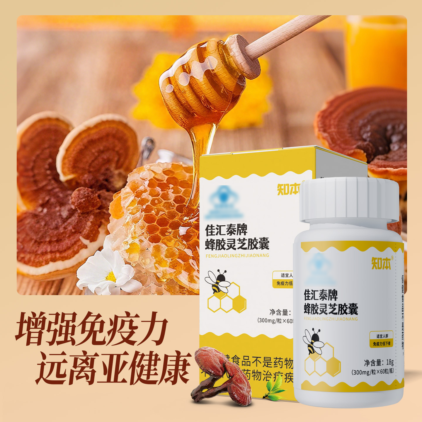 知本牌蜂胶灵芝胶囊中老年补充营养保健品破壁灵芝孢子粉蜂胶粉