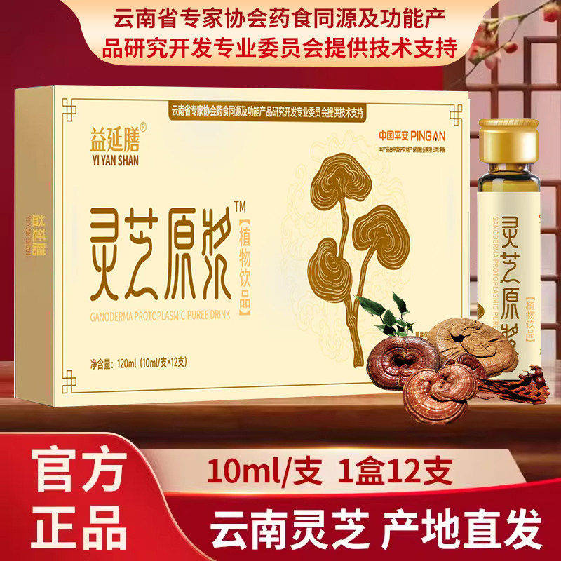 鲜灵芝精萃液云南药业同款灵芝原浆口服液浓缩型无糖中老年