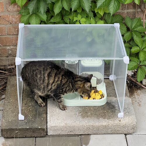流浪猫户外喂食器防雨防蚂蚁猫窝透明防雨棚隐蔽环保猫狗通用食碗