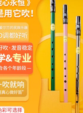 Feadog飞叨爱尔兰哨笛黄铜D调镀镍C调锡笛初学者自学乐器竖吹笛子
