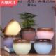 包邮 多肉陶瓷花盆粗陶亚光老庄创意办公室桌面个性 组合花盆批