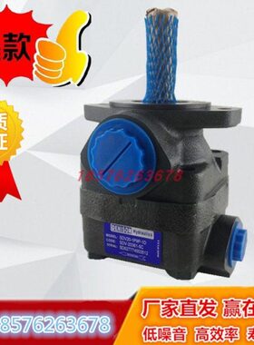 DENISON丹尼逊叶片泵 SDV10 1P1S/1P2S/1P3S/1P4S/1P5S/1P6S/1P7S