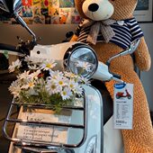 gts 2024款 春天冲刺150 原厂部件 gtv前货架书包架 vespa300改装