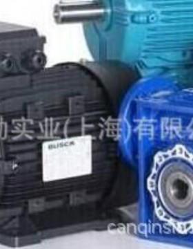 Busck减速机，Busck蜗轮