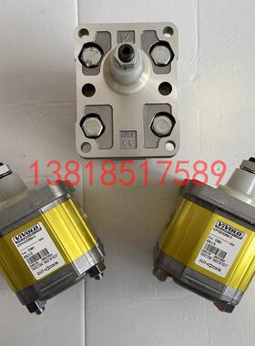 意大利VIVOLO维沃尔齿轮泵X2P4702EBBA X2P4902ECBA X2P5102ECBA