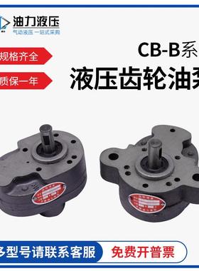 正反向电动油泵齿轮CB-B6RB10B16B32B63机床润滑输油泵液压齿轮泵