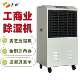 商用办公室仓库抽湿机 丹比DB 1500E除湿机 地下配电房工业除湿器