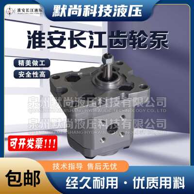 淮安长安齿轮泵CBD1-F201.1/F201.3/F201.6 CBD2-F201.3/F202油泵