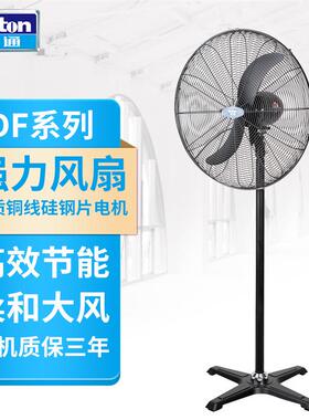风扇工业风扇落地式强力风扇380V单速牛角扇可摇头SF600-4