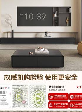 色落地HSLD电视柜客厅202黑5新款奢感实轻代木地柜现简约电视