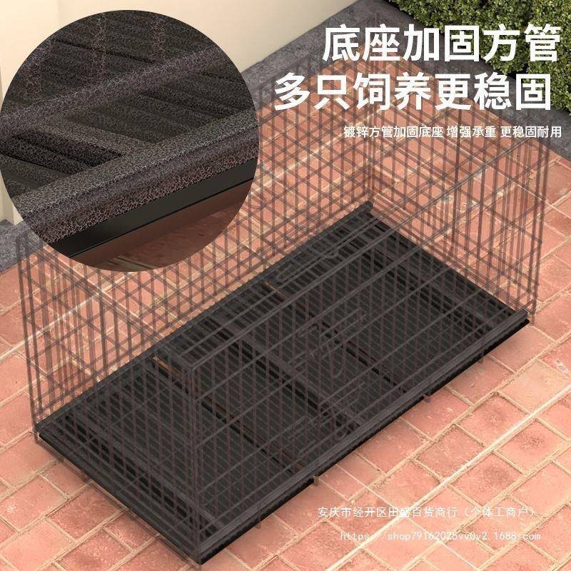 鸡笼子家ZXK特大号家鸡禽阳用台养殖清粪室外自笼动滚蛋鸡窝舍