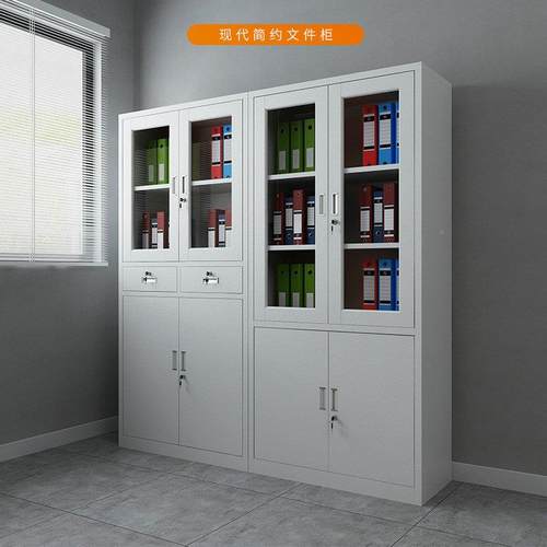 钢铁皮柜件办公室资制料柜柜加厚档案凭证柜DR-TPwjg储物更衣柜抽