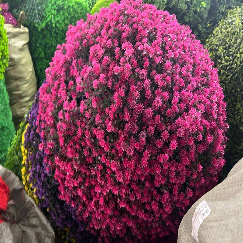 仿真塑料米兰草球-绿植球0厘米200厘米ZMG加利园7林景观软尤装装