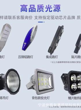 市工程led路灯6/8米新农政明IYE村道路照灯户外双头自电弯臂市路