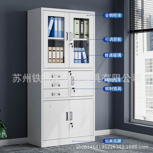 文件柜铁皮柜钢室制办公储物柜办公008带锁务凭证档案资料柜柜财