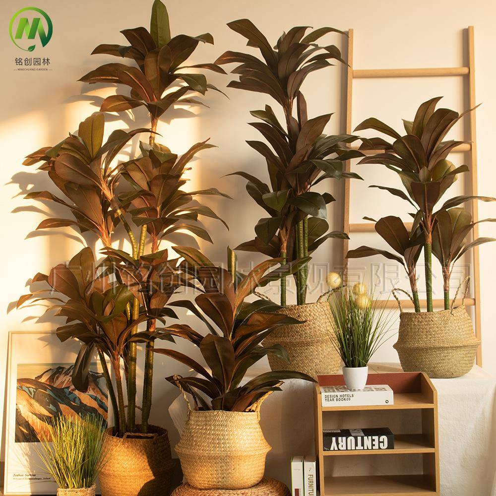植大型仿落地真绿红铁树巴西木盘栽室内摆设仿真MC-20240植物边巴