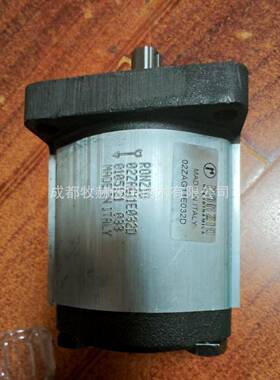 意大利RONZIO罗茨02ZAG11E032D全系齿轮泵液压马达选型参数