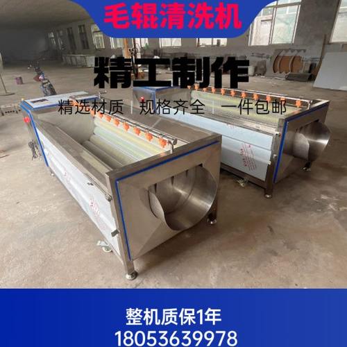 全自动清洗去皮机生蚝芋头毛辊水洗商用土豆萝卜红薯莲藕姜脱皮机