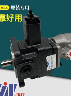 WINMOST峰昌叶片泵VP-DG-30/40-D+PA A B C中低压组合齿轮泵EG-PA