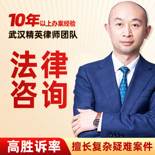 法律咨询律师服务律师函起诉状合同武汉经济纠纷起诉离婚代写合同