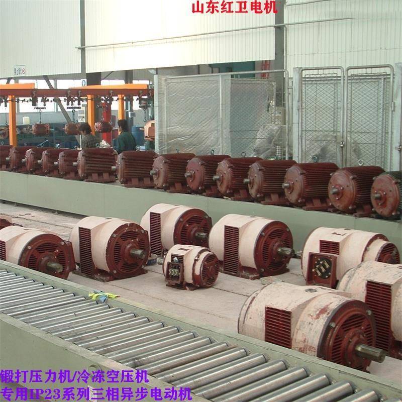 山东厂家直供Y315M2-8/132W-IP23冷冻空压机用三相异步电机