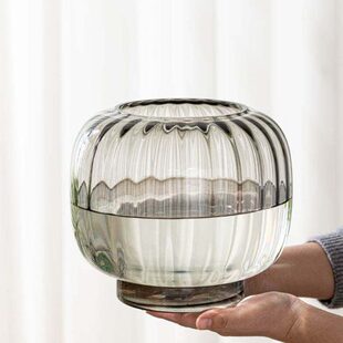 水培器皿创意玻璃花盆水养植物白掌红掌绿萝大号花瓶透明插花摆件