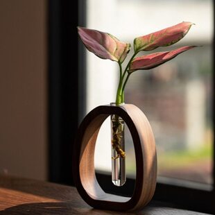 胡桃木透明玻璃小花瓶日系治愈鲜花水培花插迷你实木桌面插花摆件