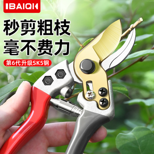 百旗园艺剪修枝剪果树剪花枝专用剪刀树枝剪园林花艺剪摘果神器