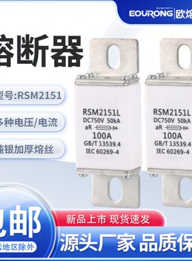 RS直流熔断器EV 新能源DC1000V/750V 50A80A100A125A160A200A250A