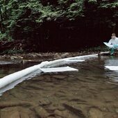 水上吸油围栏 拦油索 吸油索 围油栏 围油绳 围油栅 船用吸油条