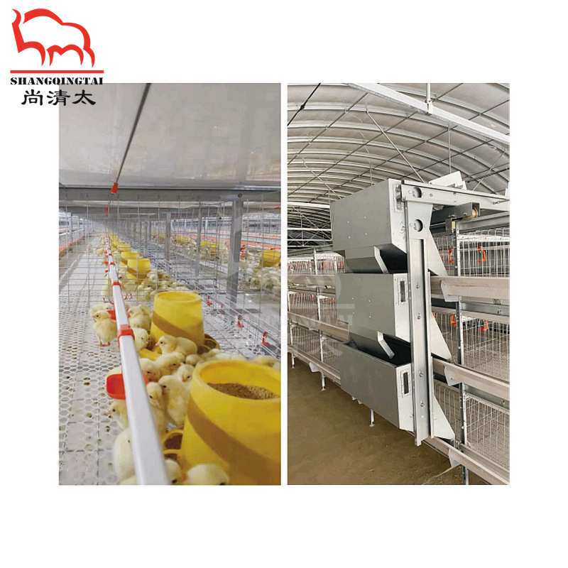 肉鸡全自动笼养系统 3~4层饲喂鸡笼 养鸡笼子 自动喂料鸡笼