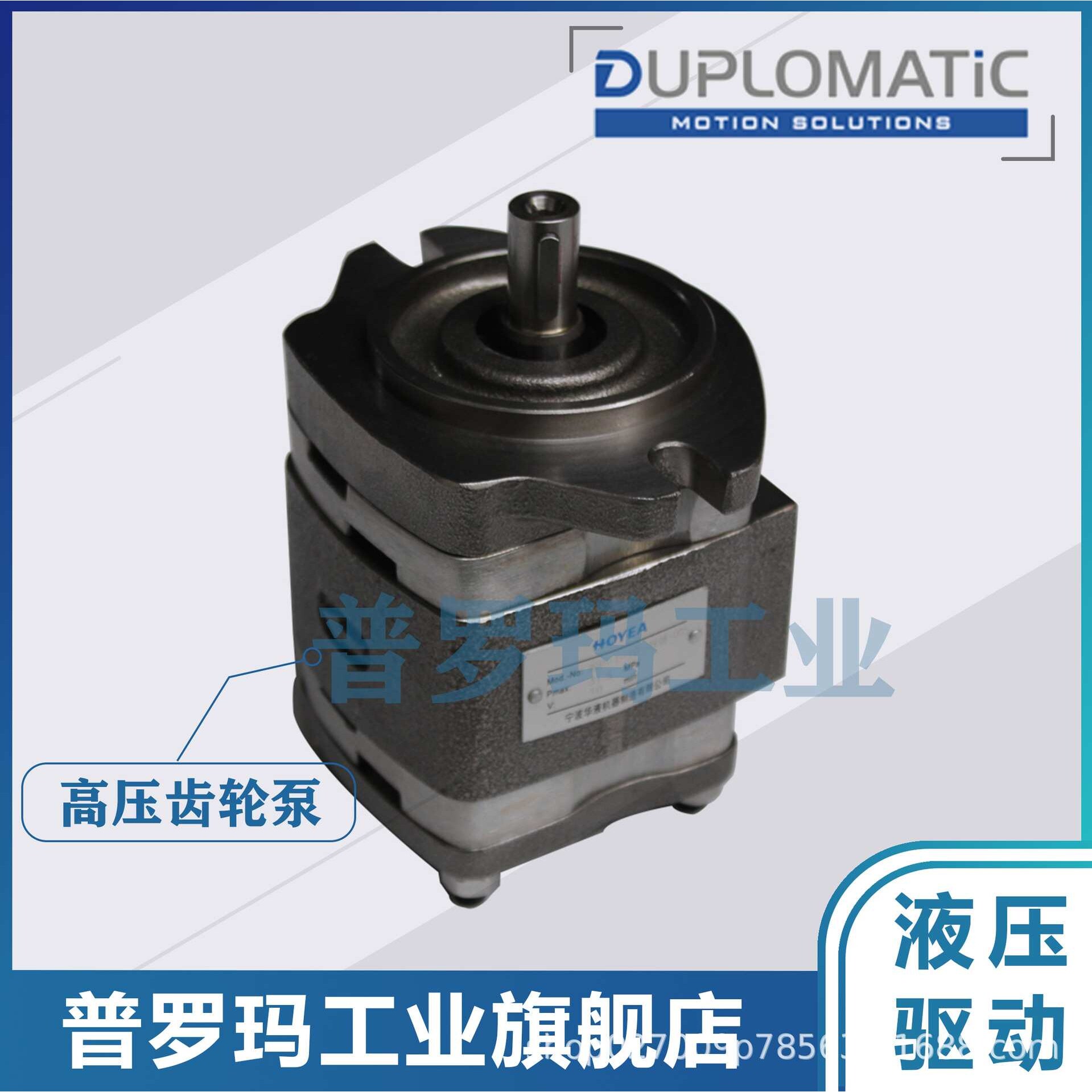 意大利迪普马DUPLOMATIC DFP442/47/50/57/60RA120叶片泵液压油泵