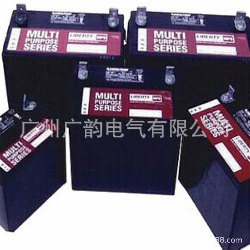 嘉兴大力神蓄电池MPS12-65 西恩迪蓄电池免维护12v65ah原厂