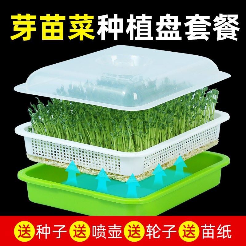 芽苗菜育苗托盘豆芽发芽盆豆苗种植无土栽培设备水培蔬菜芽菜小麦