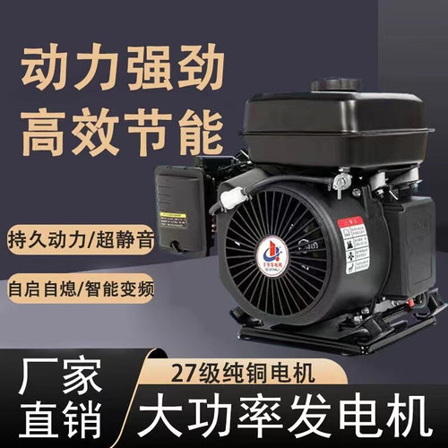 48v60v72伏电动两轮二三轮车四轮车新能源轿车变频增程器发电机