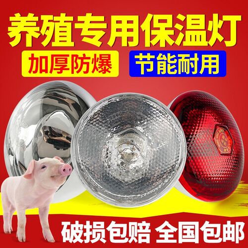 保温灯养殖场专用小鸡育雏猪场兽用保暖加温加热烤灯养殖取暖灯泡