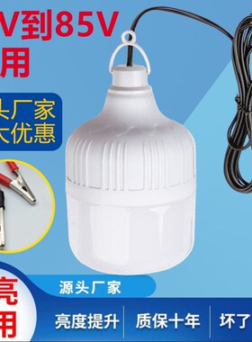 摆摊灯夜市灯72v6l0v48v12v通用灯led灯地摊插电瓶车三轮车专用灯