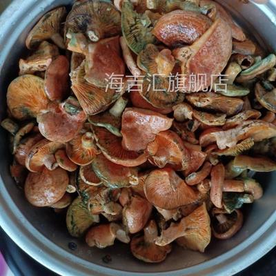 野生松菌,松乳菇干品当季,寒菌,谷熟菌,枞树菌,九月香