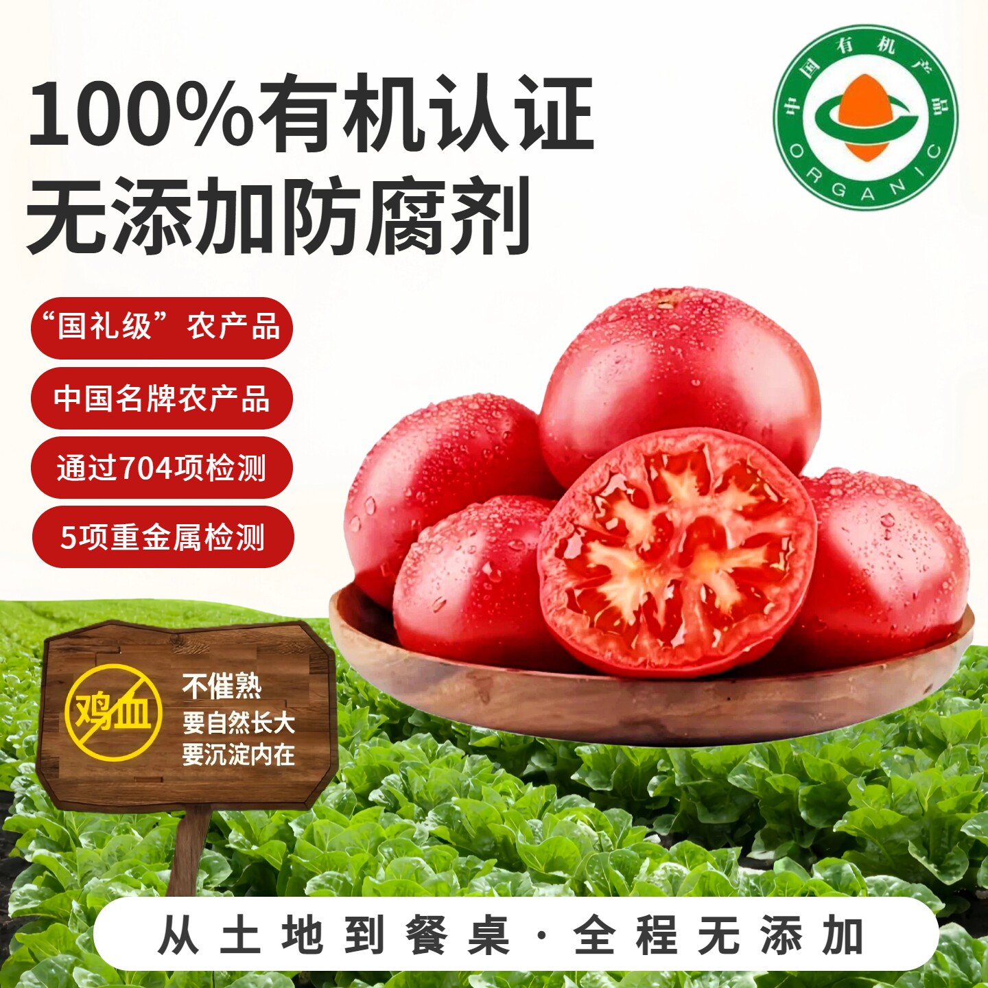 有机认证西红柿无农残
