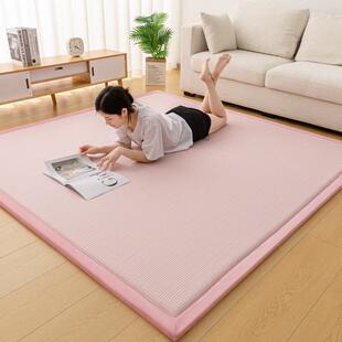 家新款榻vbb552榻豆豆席床垫四用季通用软垫铺子午睡打地儿米童爬