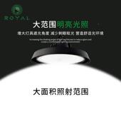 江苏厂荣L亚ECJLD高亮足光瓦高效顶棚房工厂悬挂照明灯超亮led工