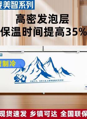 凌美智系冻列NTM冰柜冷藏冷冻量商用大容美铜管卧式节能冷柜单温