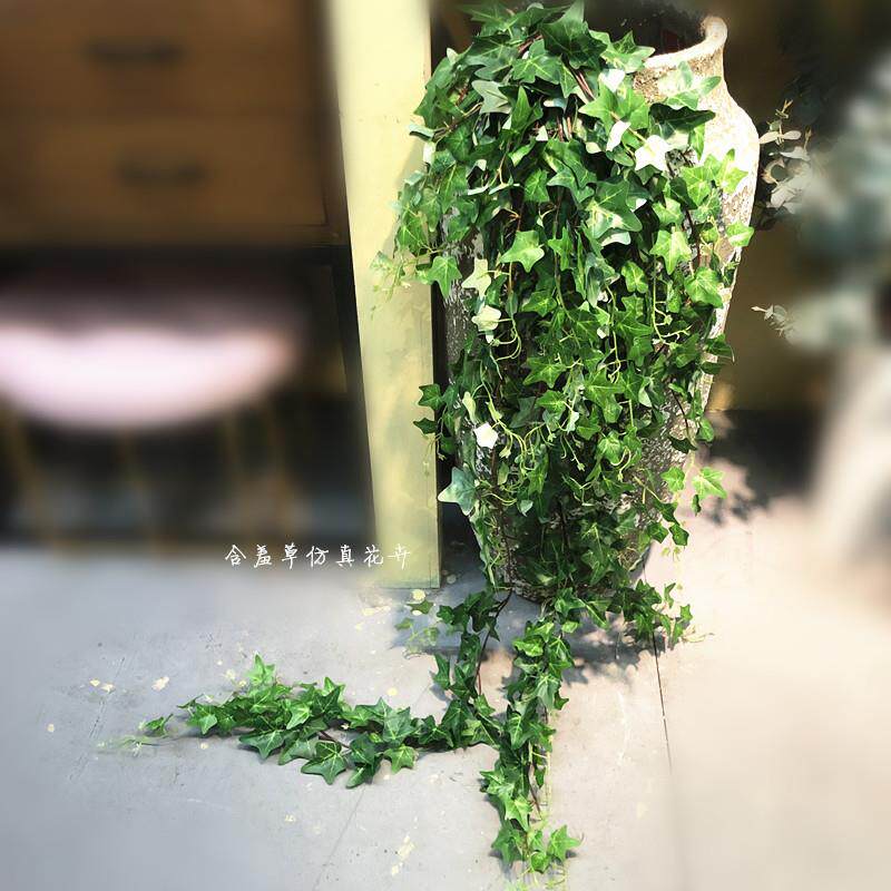 仿真常春藤壁挂地瓜叶加长把束爬藤仿真绿植装饰缠绕藤蔓绿色挂壁