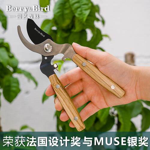 Berry&Bird花剪子花卉修剪花剪花艺剪刀园艺园林鲜花剪插花修枝剪
