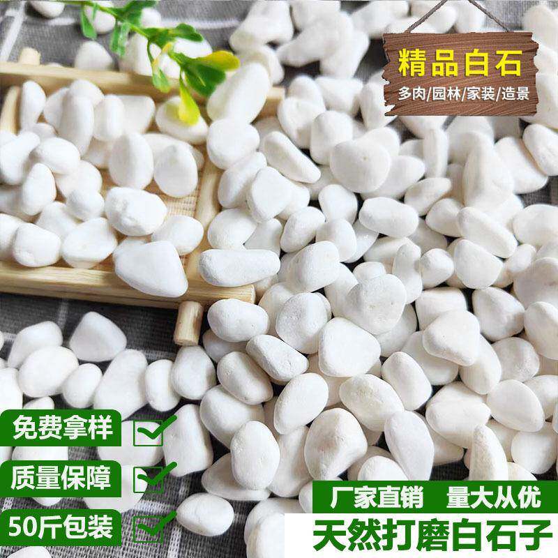 4-20cm白色鹅卵石子洗米石园林铺路水族造景用水磨石子