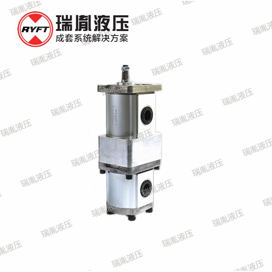 厂家销售联齿轮泵合增压泵可506组高转速式高压力双齿轮泵