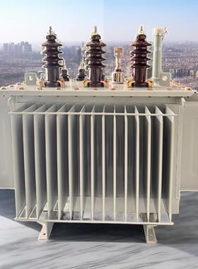 S20-M-315KVA（10KV）全铜国网双负油浸式变压器油变重庆四川
