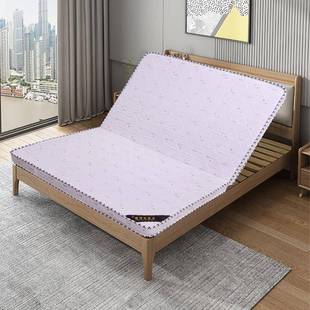 椰棕床垫棕垫棕榈硬垫可折叠1.8m1.5F米儿童经济型榻榻米1.2