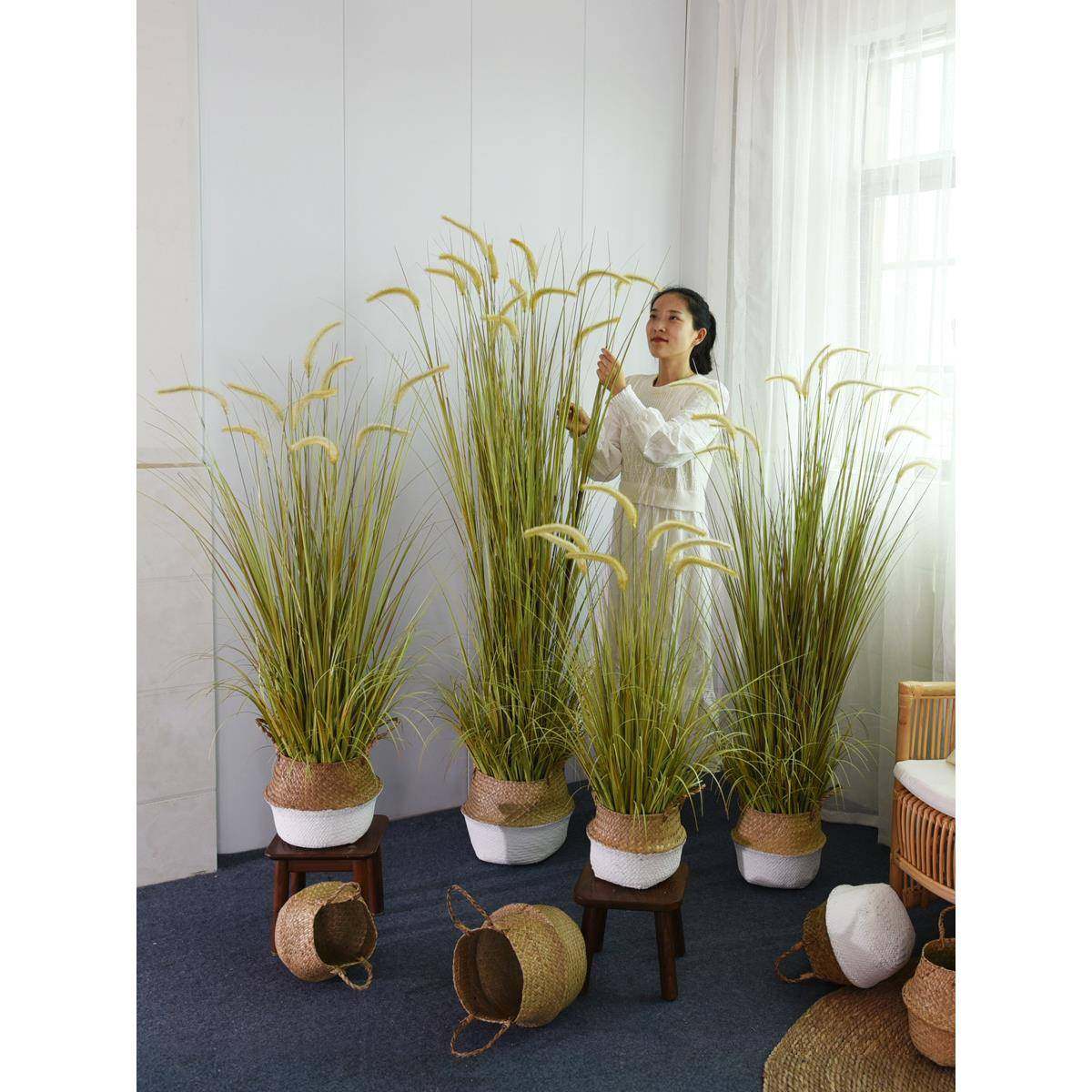 仿真绿植狗尾巴草假芦苇草落地盆栽装饰盆景室内客厅植物造景摆件